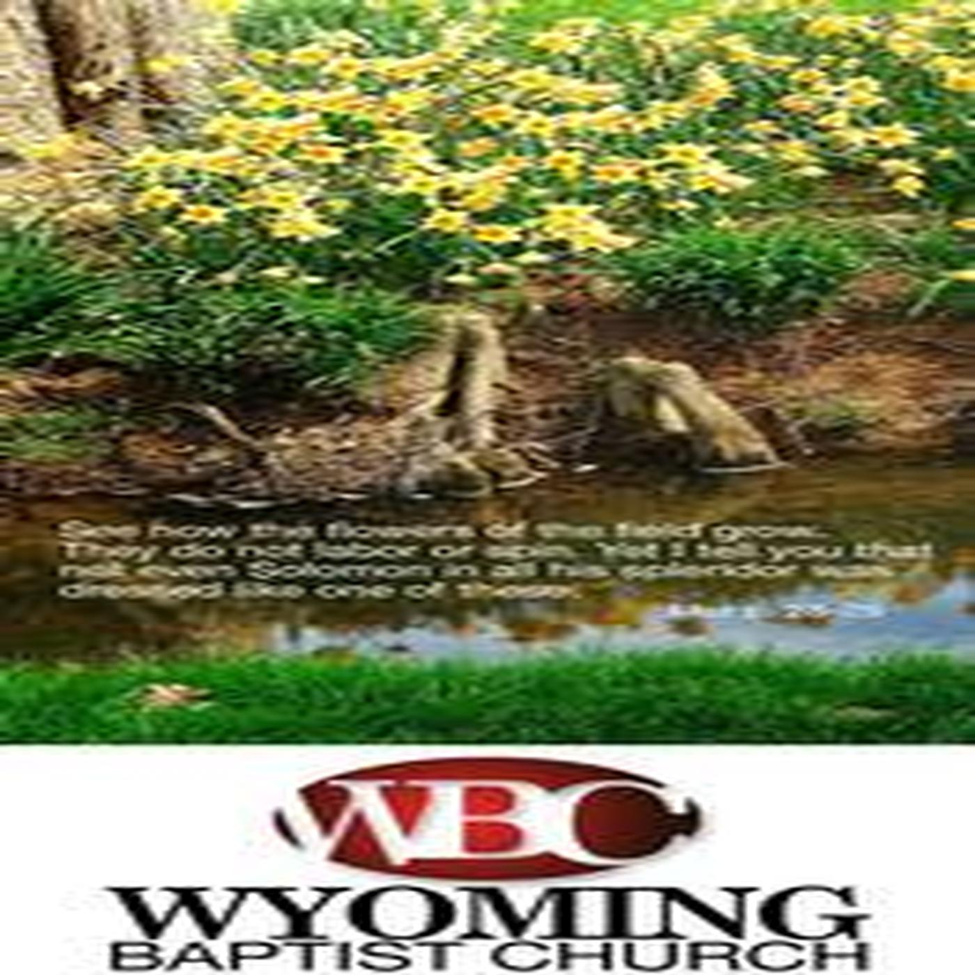 May 19, 2019 - For The Bible Told Me So - Part 4